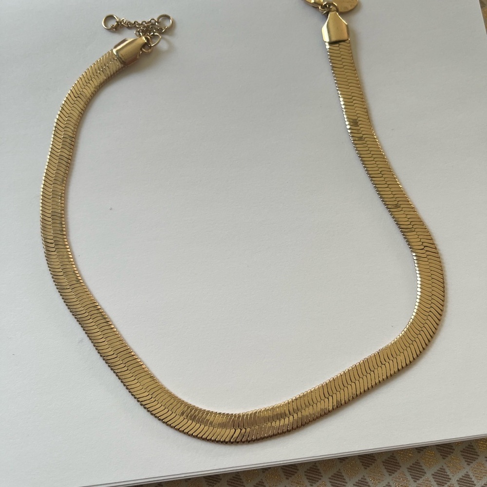 Express plated snake link‎